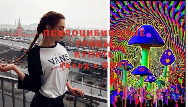 тгк Баксан