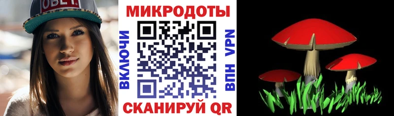 Псилоцибиновые грибы Cubensis  Суворов 